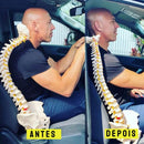 Comfort Pillow Executive 3.0® [UNIVERSAL]